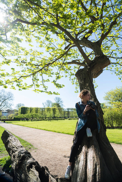 beautiful girl with camera sitting on tree and photographing in green park, copenhagen, denmark - Photo, Image