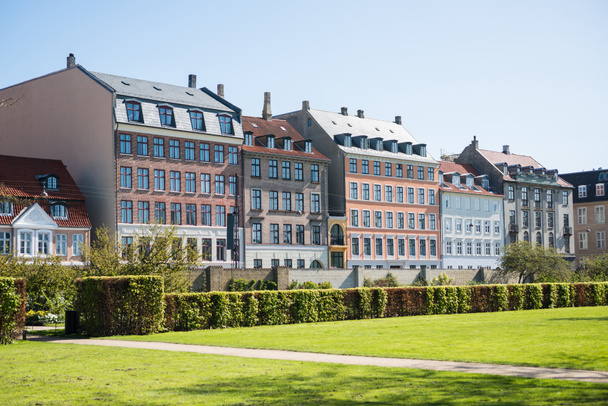 Piękny zielony trawnik z krzaków i stare domy w Kopenhadze, Dania  - Zdjęcie, obraz