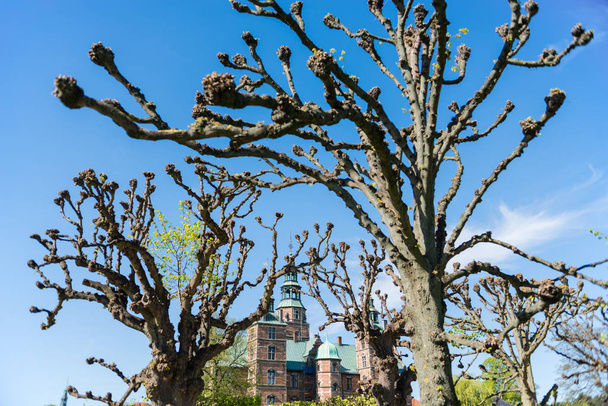 view through bare trees at beautiful famous Rosenborg castle at sunny day, Copenhagen, Denmark - Photo, Image