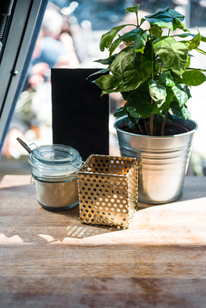 κλείνω πάνω θέα του φυτό με φύλλα στον κουβά σε τραπέζι με σκιά και το φως του ήλιου στο καφέ  - Φωτογραφία, εικόνα