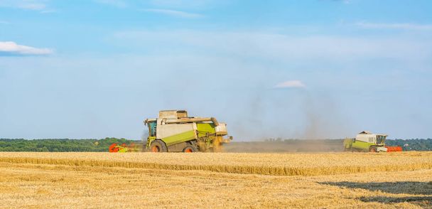 İki tahıl ürünleri, çavdar, buğday hasat toplamak için alana birleştirir - Fotoğraf, Görsel