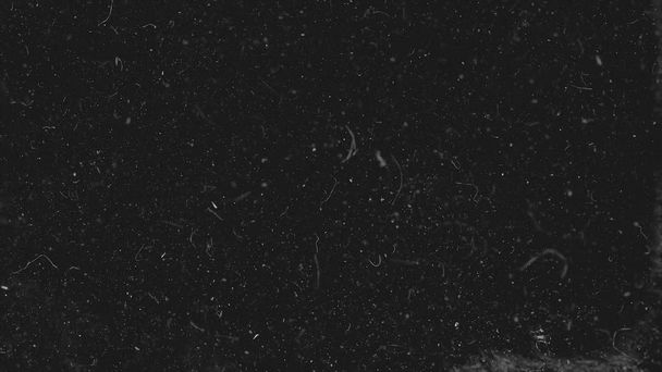 Particules de poussière blanche se déplaçant lentement dans l'espace sur fond noir. Fond abstrait de mouvement de particules. Mouvement lent macro particules de poussière écoulement explosif sur fond noir
 - Photo, image