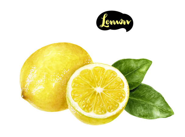 lemon watercolor illustration - Photo, Image