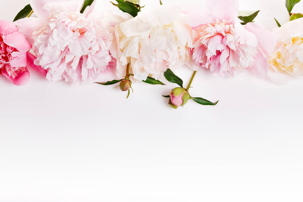 花びら花白ホワイト リボンと繊細な白ピンク牡丹。オーバーヘッド平面図、フラットが横たわっていた。領域をコピーします。誕生日、母親、バレンタイン、女性、結婚式の日の概念 - 写真・画像