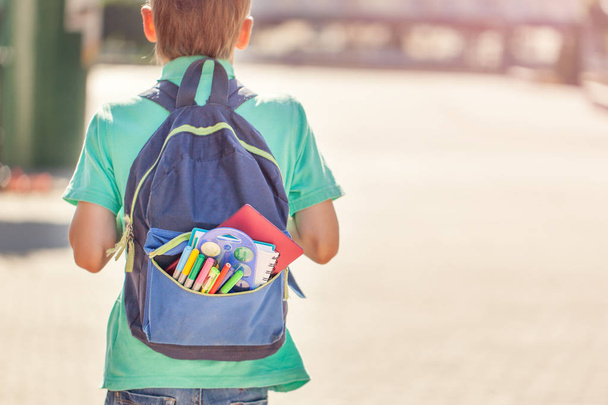 Schoolboy with full backpack go to school. Back view. - 写真・画像