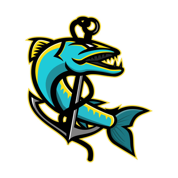 Mascot icon illustration of a great barracuda, a saltwater fish that is snake-like with fearsome appearance and ferocious behaviour, coiling up an anchor on isolated background in retro style. - Vector, Image