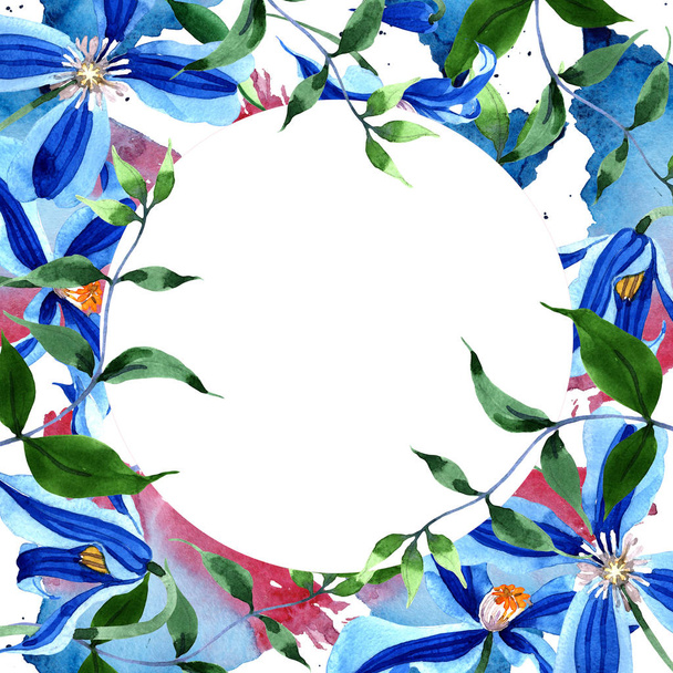 Blauwe durandii clematis. Floral botanische bloem. Frame grens ornament vierkant. Aquarelle wildflower voor achtergrond, textuur, wrapper patroon, frame of rand. - Foto, afbeelding