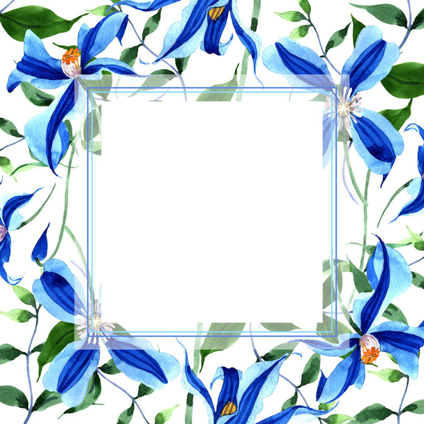 Blue durandii clematis. Floral botanical flower. Frame border ornament square.Aquarelle wildflower for background, texture, wrapper pattern, frame or border. - Fotoğraf, Görsel