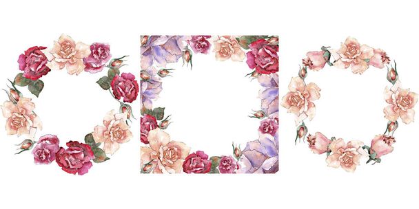 Colorful roses. Floral botanical flower. Frame border ornament square. Aquarelle wildflower for background, texture, wrapper pattern, frame or border. - Foto, afbeelding
