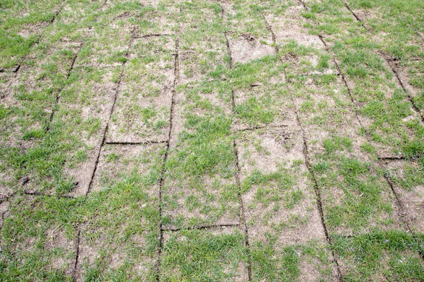 Rolos de terra desdobrados com grama verde, grama é muito má qualidade, escasso e pequeno
 - Foto, Imagem
