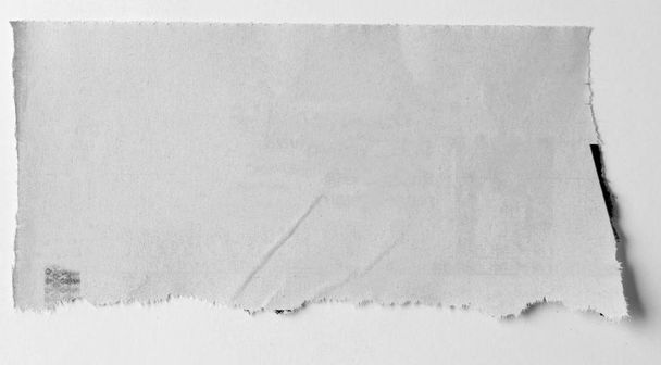 Pedaço de papel rasgado sobre fundo liso  - Foto, Imagem