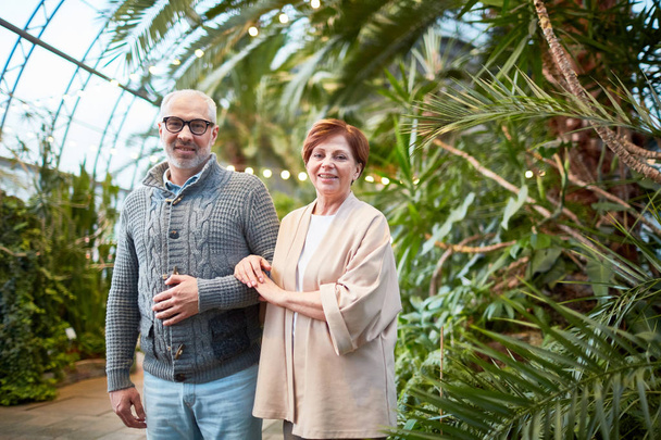 Moderni vanhempi mies ja nainen kävelemässä vihreiden kasvien joukossa orangeriassa tai matkailukohteessa
 - Valokuva, kuva