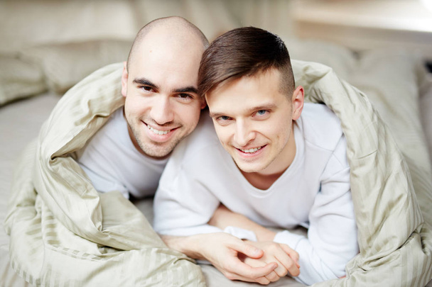 Cheerful young gay couple lying on bed wrapped in blanket while having rest at home - Фото, изображение