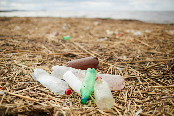 купа брудних використаних пластикових пляшок на сухій траві території берега річки, яку потрібно очистити
 - Фото, зображення