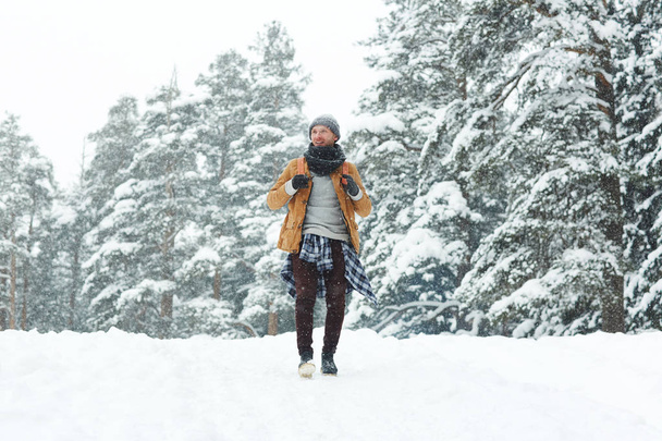 junger Tourist mit Rucksack schaut sich bei einem Spaziergang im Winterwald an einem verschneiten Tag um - Foto, Bild