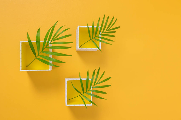 Пальмовые листья в белых коробочках на ярко-желтом фоне. Летний декор
. - Фото, изображение