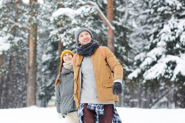 Winterwear 雪の吹きだまりで歩いて、冬の週末に森での時間を楽しむ若いカップル - 写真・画像