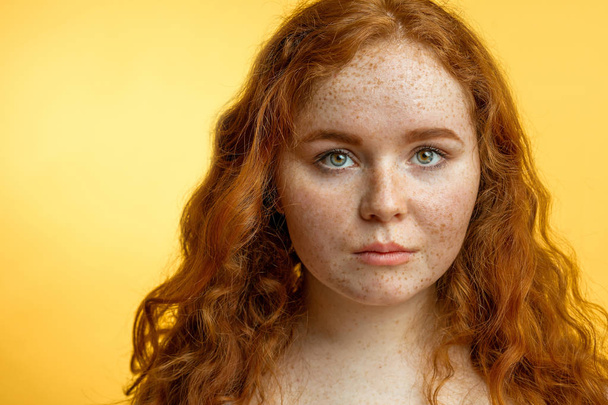 Close-up of beautiful red-haired freckled girl with loose curly hair - Fotoğraf, Görsel