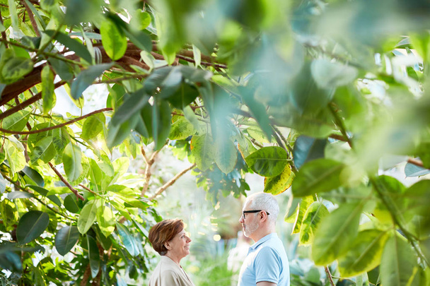 Любящие старшие смотрят друг на друга среди зеленой листвы деревьев и растений в саду
 - Фото, изображение