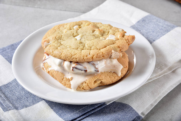 A homemade gourmet ice cream sandwich with butter pecan ice cream and macadamia nut cookies. - Foto, Imagem