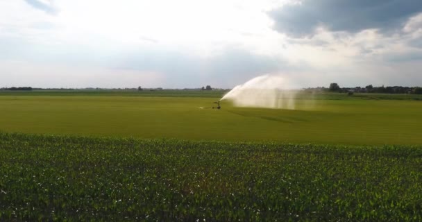 Irrigatiesysteem een boerderij veld drenken. Luchtfoto - Video