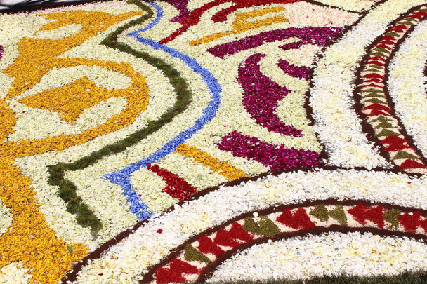 Veelkleurige floral tapijt gemaakt met bloemblaadjes - Foto, afbeelding