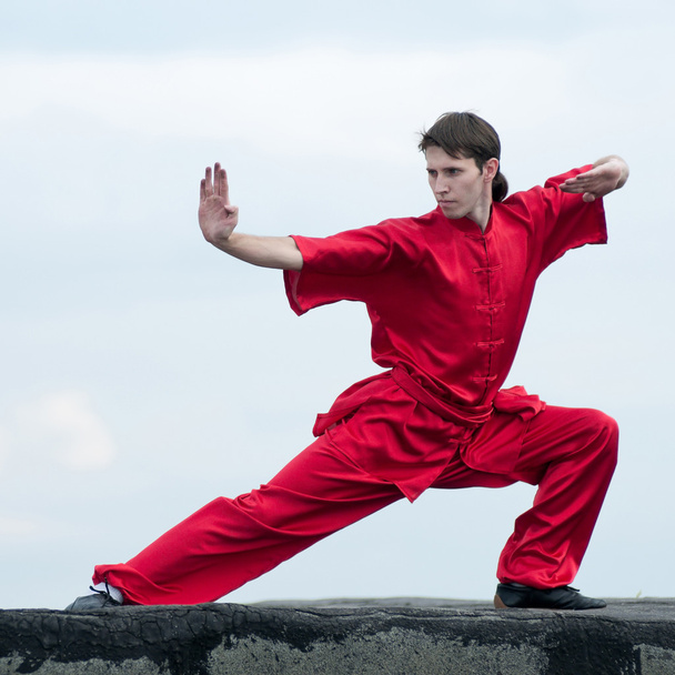 Wushoo man in red practice martial art - Photo, image