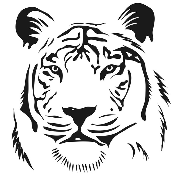 face tiger graphic image - Vector, Image