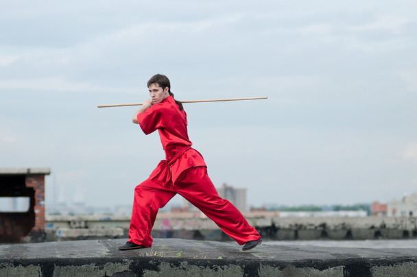 Wushoo man in red practice martial art - Photo, image