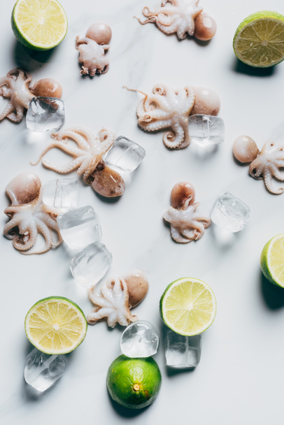 ylhäältä näkymä pieniä mustekaloja limeineen ja jääkuutioita kevyt marmori pinnalla
 - Valokuva, kuva