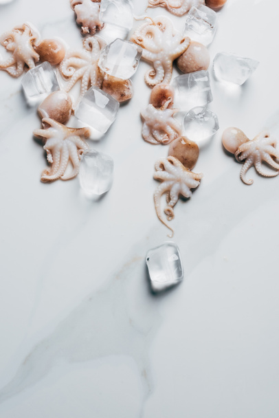 top view of small octopuses with ice cubes on marble surface - Photo, image