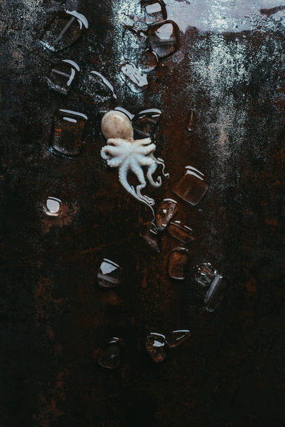 top view of small octopus with ice cubes on rusty metal surface - Φωτογραφία, εικόνα