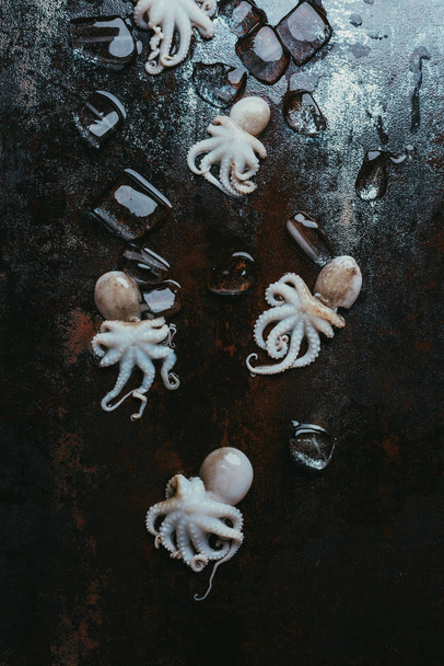 vue de dessus de petites pieuvres crues avec glaçons sur une surface métallique rouillée
 - Photo, image