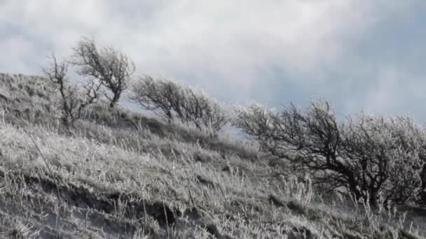Kar içinde Avital Golan Tepeleri ile kaplı tepelerin görünümünü - Video, Çekim