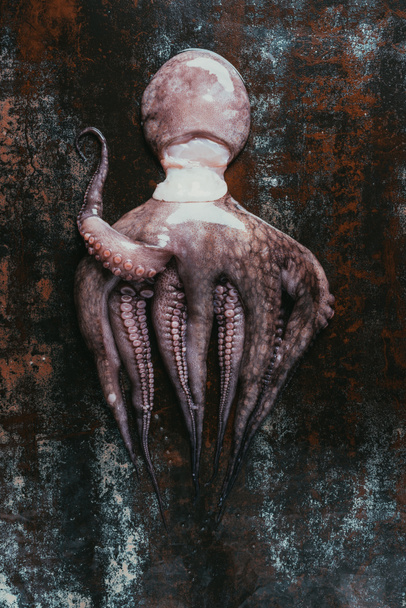 top view of big raw octopus on dark rusty surface - Foto, afbeelding