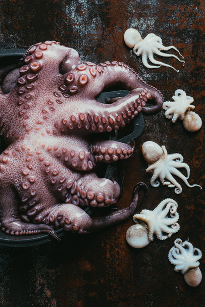 bovenaanzicht van een grote octopus in steelpan en kleine octopussen op roestige metalen oppervlak - Foto, afbeelding