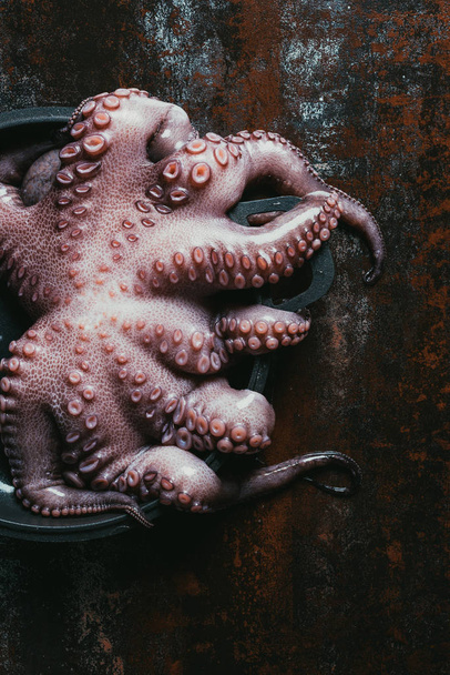 top view of uncooked octopus in saucepan on rusty surface - Photo, Image