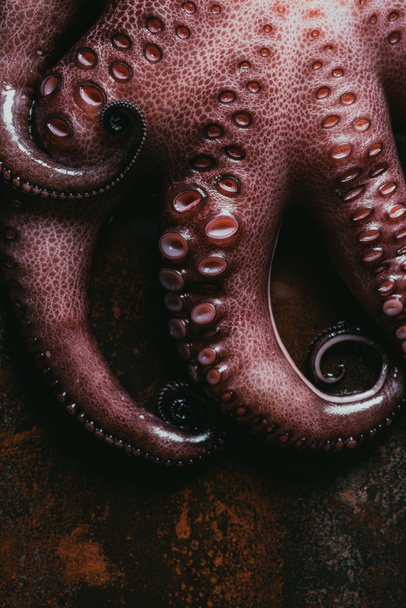 top view of big raw octopus on rusty metal surface - Zdjęcie, obraz
