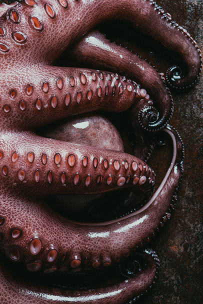 top view of big octopus tentacles on rusty metal surface - Φωτογραφία, εικόνα