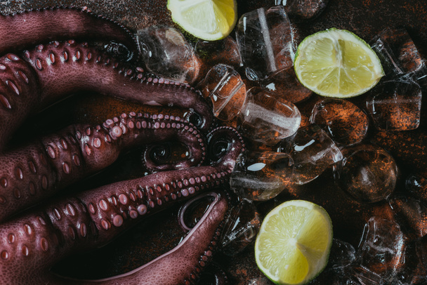 top view of big uncooked octopus with ice cubes and limes - Фото, зображення