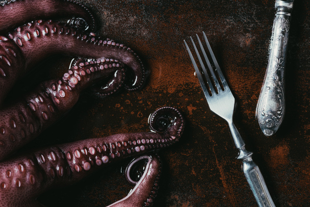 ylhäältä näkymä iso mustekala haarukalla ja veitsi ruosteinen metallipinta
 - Valokuva, kuva