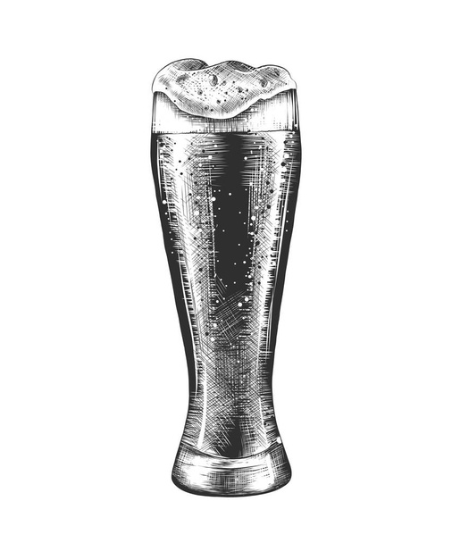 Vector engraved style illustration for posters, decoration and print. Hand drawn sketch of glass of beer in monochrome isolated on white background. Detailed vintage woodcut style drawing. - Vektor, Bild