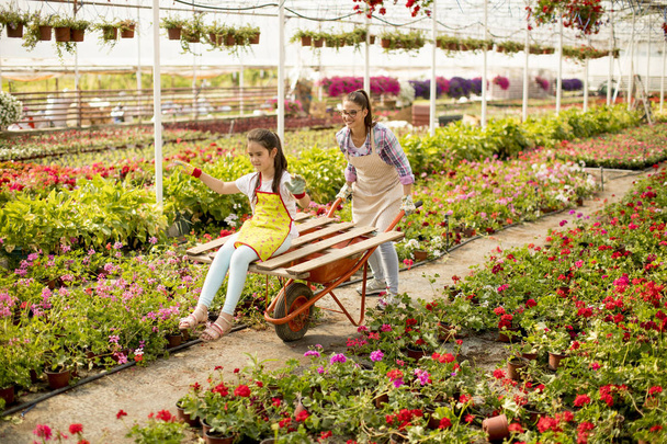 Two playful florist enjoying work while one of them riding in the cart in the greenhouse - Photo, image