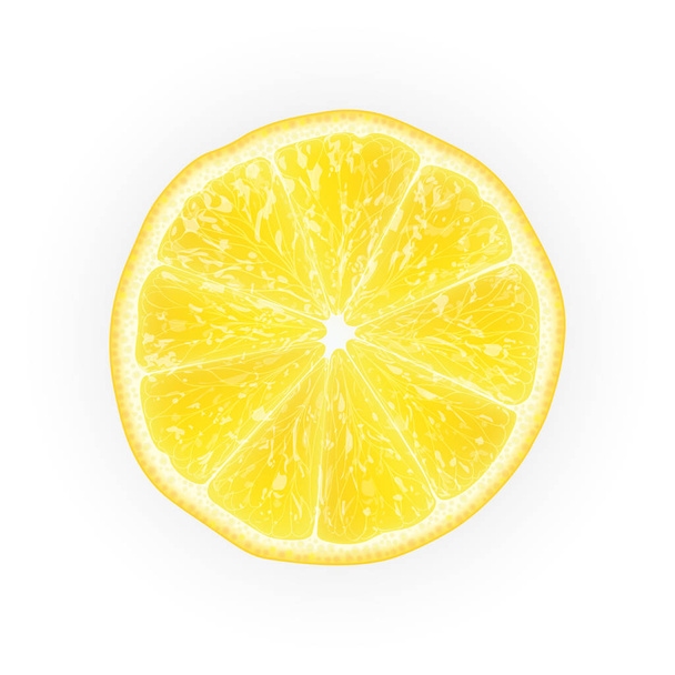 Реалістична 3d Векторна ілюстрація нарізаних жовтих лимонних фруктів. Барвистий цитрусовий. Добре підходить для дизайну упаковки та реклами. ЕПС 10
.   - Вектор, зображення