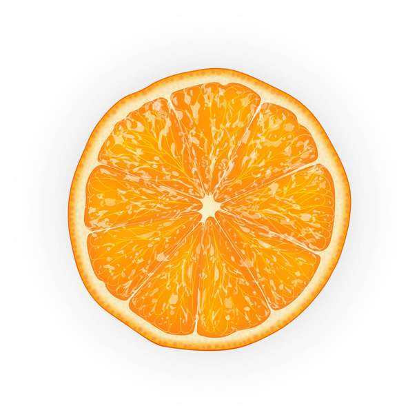 スライスしたオレンジ色の果物の現実的な 3 d ベクター イラストです。カラフルな柑橘類。パッケージ デザインや広告に適しています。Eps 10.   - ベクター画像