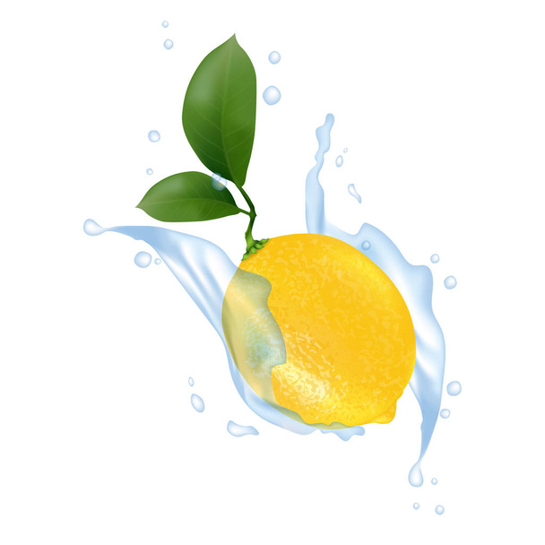 Juice milk yogurt lemon splashing. Juicy lemon with green leaves, water splash packaging template. Vector EPS 10. - Vector, Image