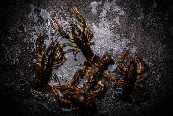 boiled crayfish on the stone background. style vintage. selective focus - Фото, зображення
