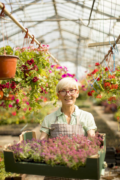 Donna anziana che tiene il cesto pieno di fiori in greengarden
 - Foto, immagini