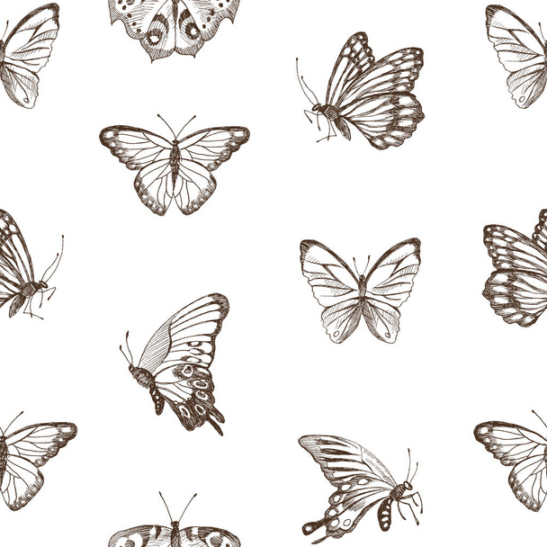 Collection of Hand Drawn brown silhouette butterflies. Vector illustration in vintage style. High detailed hand drawn illustration. Spring theme of butterfly. Vector design - ベクター画像