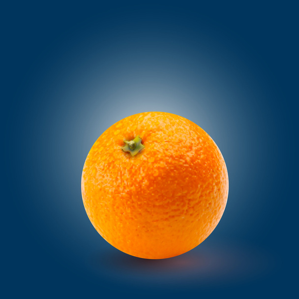 Vector illustration of orange - Vector, Image